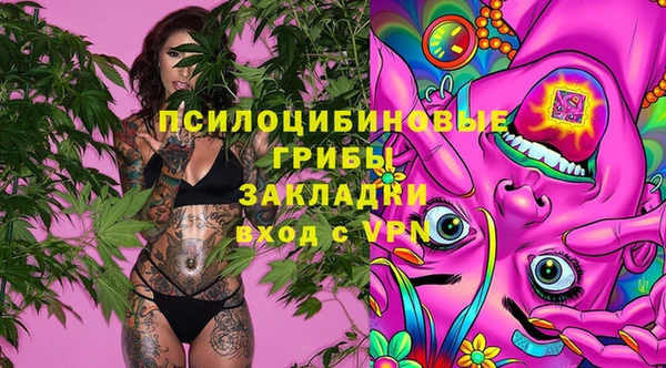 гашиш Новодвинск