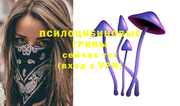 гашиш Новодвинск