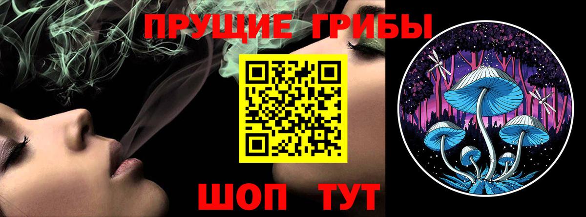 Анжеро-Судженск  Галлюциногенные грибы Psilocybe  Вход с VPN 